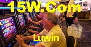 Premium Interface Luwin